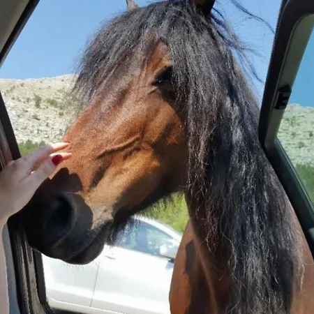 Navis Sea View With Pool Apartmán Makarská